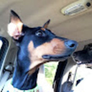 Meet your Posher, Bryan